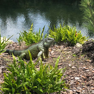 Image post by @canesrowing on Instagram