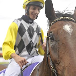 Image post by @australianturfclub on Instagram
