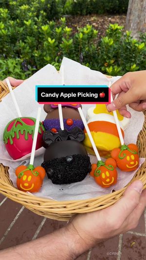 Video post by @disneyparks on TikTok