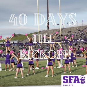 Image post by @sfa_cheer_ on Instagram