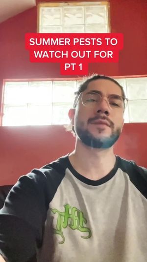 Video post by @ortho on TikTok