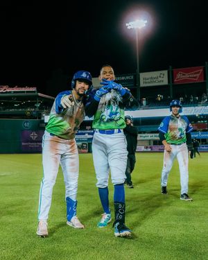 Image post by @hartfordyardgoats on Instagram