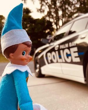 Image post by @palmbaypd on Instagram
