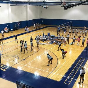 Image post by @memphisvball on Instagram