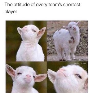Image post by @soccergrlprobs on Instagram