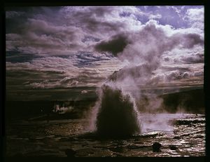 Image post by @discovery on Instagram