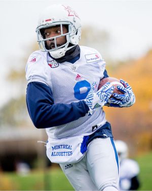 Image post by @mtlalouettes on Instagram