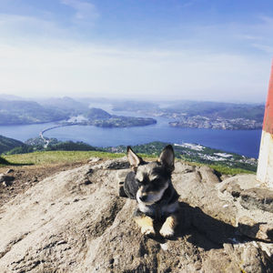 Image post by @carolinedame on Instagram