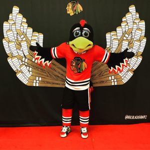 Image post by @bhawktommyhawk on Instagram