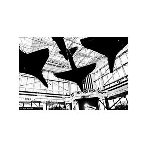 Image post by @brockjvisuals on Instagram