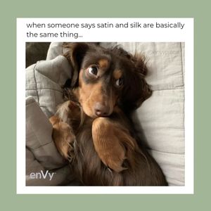Image post by @envypillow on Instagram