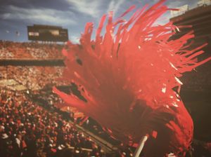 Image post by @uga_gbsm on Instagram
