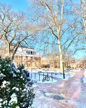 Image post by @udelaware on Instagram