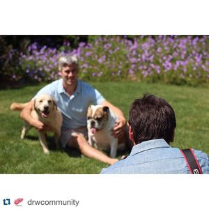 Image post by @ballysportsdet on Instagram