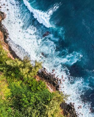 Image post by @nicktroutmankayak on Instagram