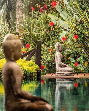 Image post by @shauns_shots on Instagram