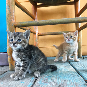 Image post by @theamandabittner on Instagram