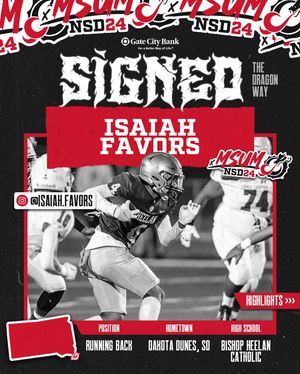 Image post by @msum_football on Instagram