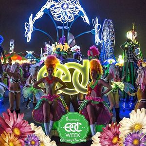 Image post by @edc_lasvegas on Instagram