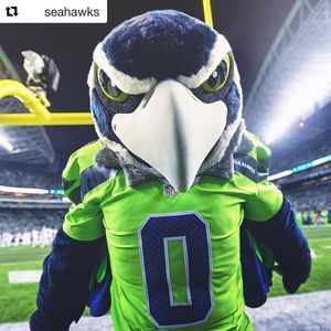 Image post by @blitztheseahawk on Instagram