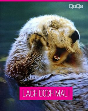 Image post by @qoqa_schweiz on Instagram