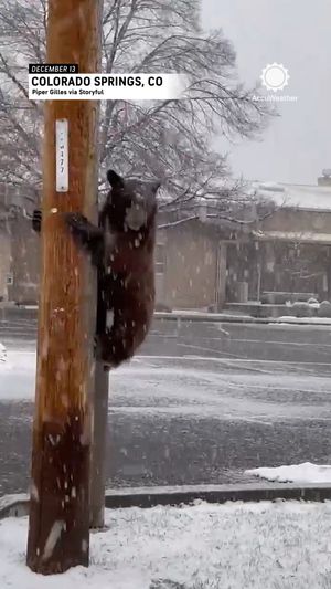 Video post by @AccuWeather on Facebook