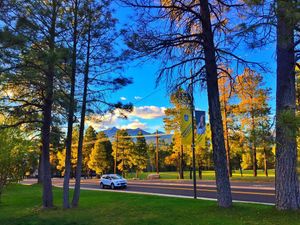 Image post by @nauflagstaff on Instagram