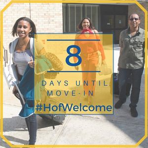 Image post by @hofstrau on Instagram