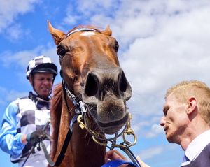 Image post by @australianturfclub on Instagram