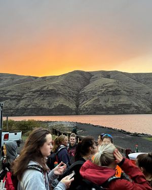 Image post by @wsucougarrowing on Instagram