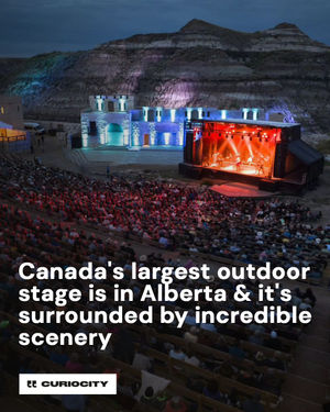 Image post by @curiocitycalgary on Instagram