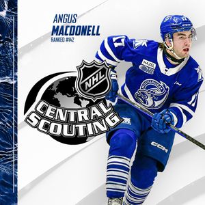 Image post by @ohlsteelheads on Instagram