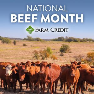 Image post by @farmcredit on Instagram