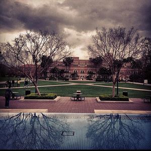 Image post by @uscdornsife on Instagram