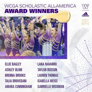 Image post by @uwgymnastics on Instagram
