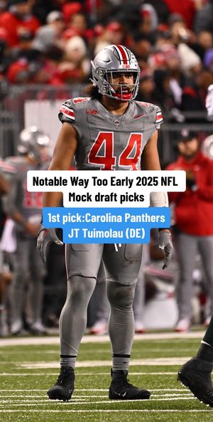 Image post by @nflonfox on TikTok