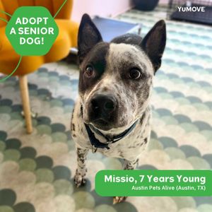 Image post by @yumove_usa on Instagram
