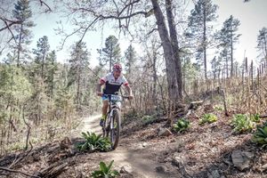 Image post by @esigrips on Instagram