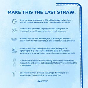 Image post by @4ocean on Instagram