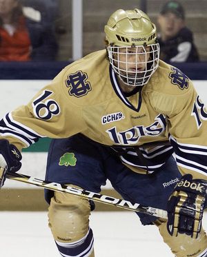 Image post by @nd_hockey on Instagram