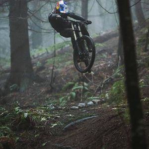 Image post by @finniles on Instagram