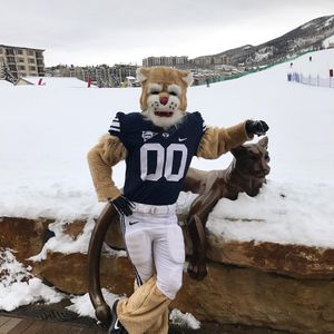 Image post by @cosmo_cougar on Instagram