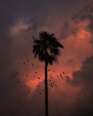 Image post by @fubiz on Instagram