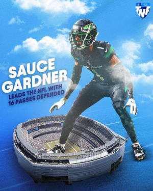 Image post by @nflonprime on Instagram