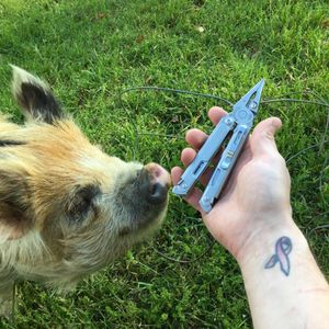 Image post by @leathermantools on Instagram