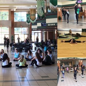 Image post by @charlotte49ersgolddusters on Instagram