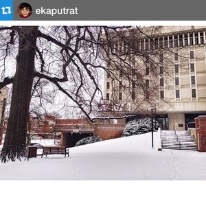Image post by @vanderbiltu on Instagram