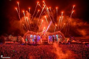 Image post by @beyondwland on Instagram