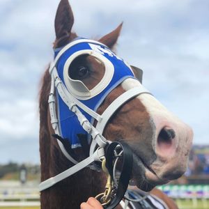 Image post by @australianturfclub on Instagram