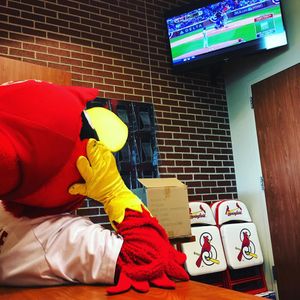 Image post by @springfield_cardinals on Instagram